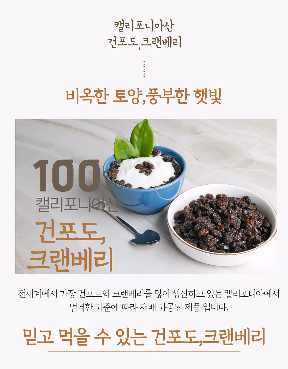 건포도 클로즈업 — 표면 주름과 색감 상세