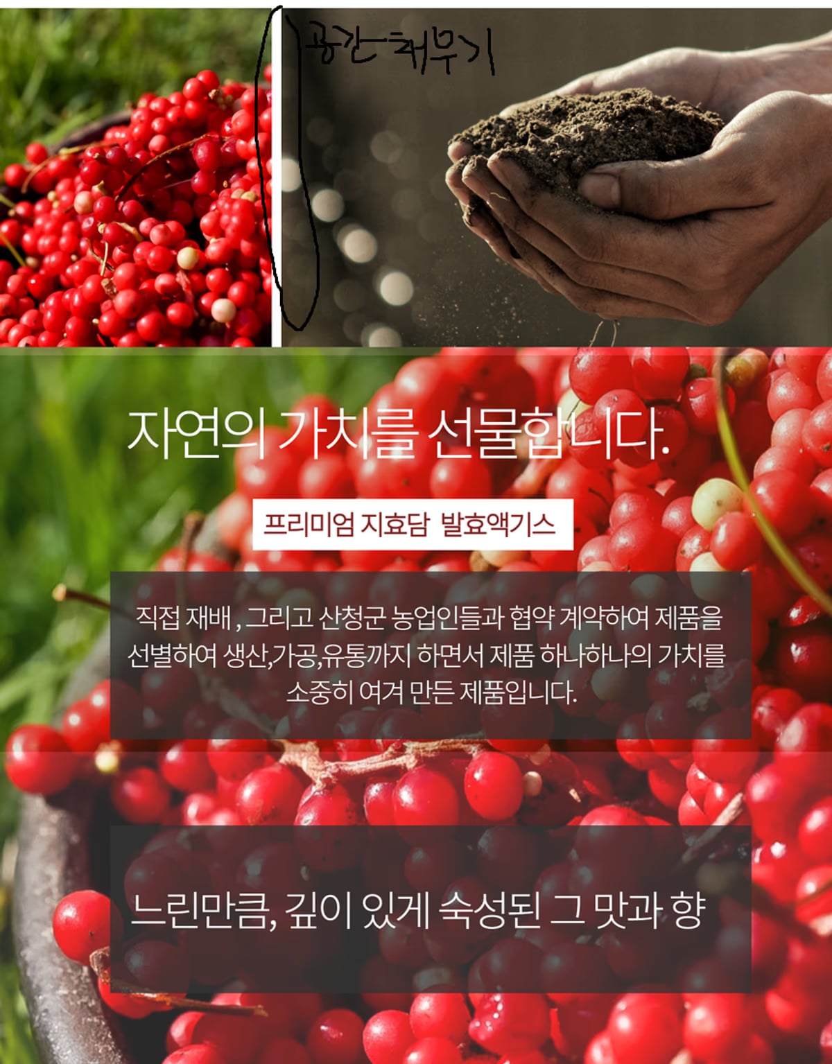 오미자 제품 라인업 촬영