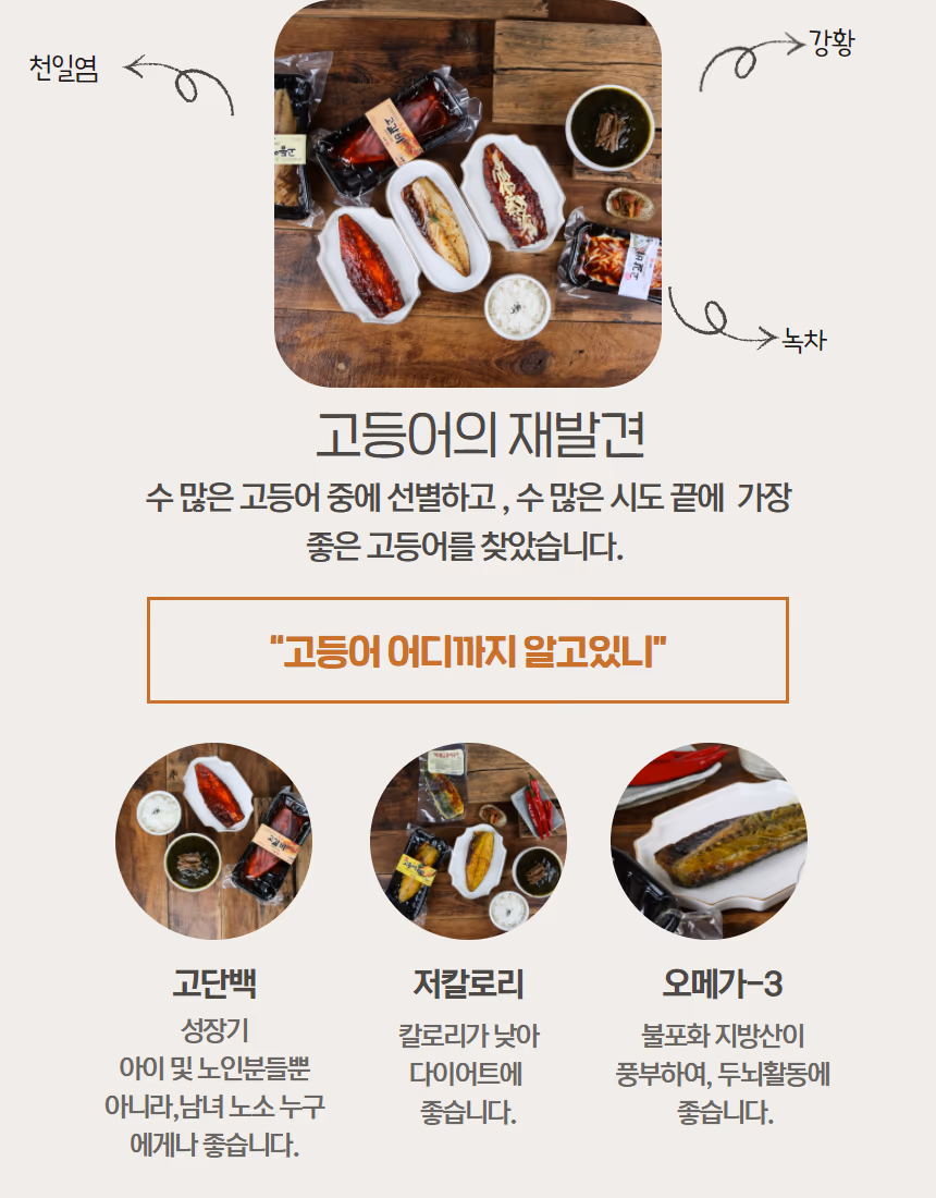 고등어의 재발견 — 고단백 저칼로리 오메가3 건강 정보 이미지