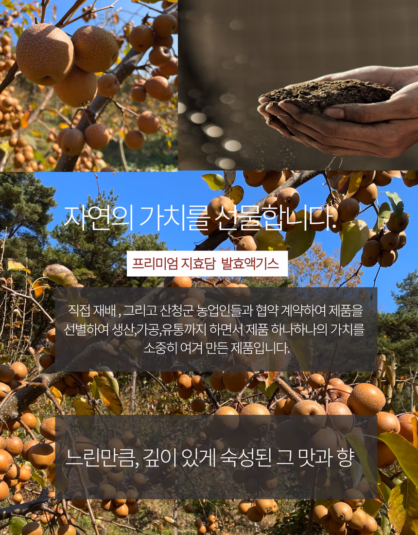 오미자 액기스 대표 컷 - 역광으로 루비색 투명도 표현