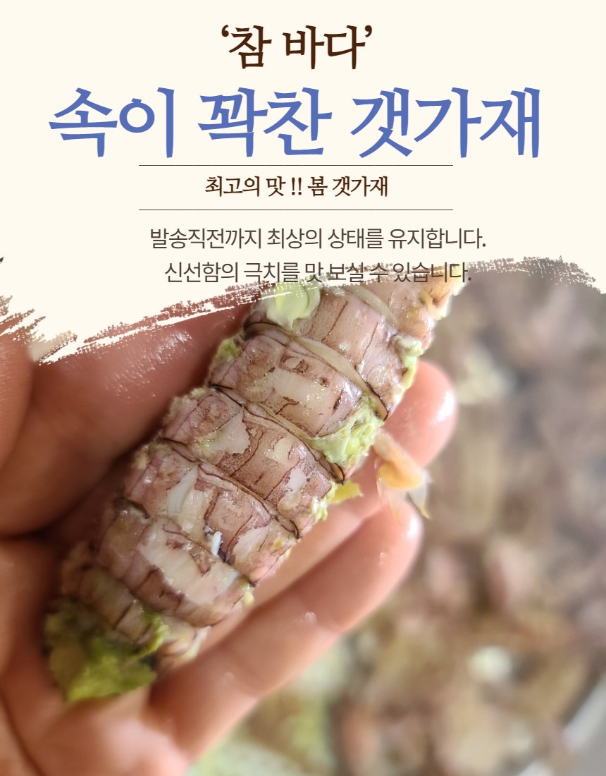 갯가재 디테일 — 집게, 몸체 질감